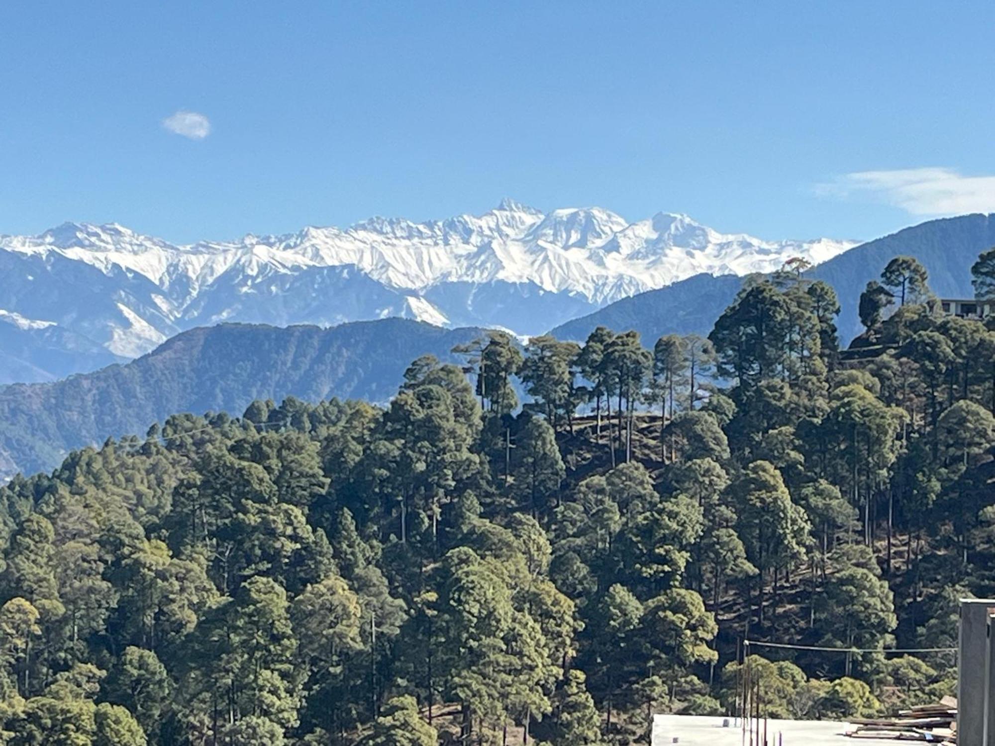 Hotel Forest View Dalhousie, Banikhet Exterior photo