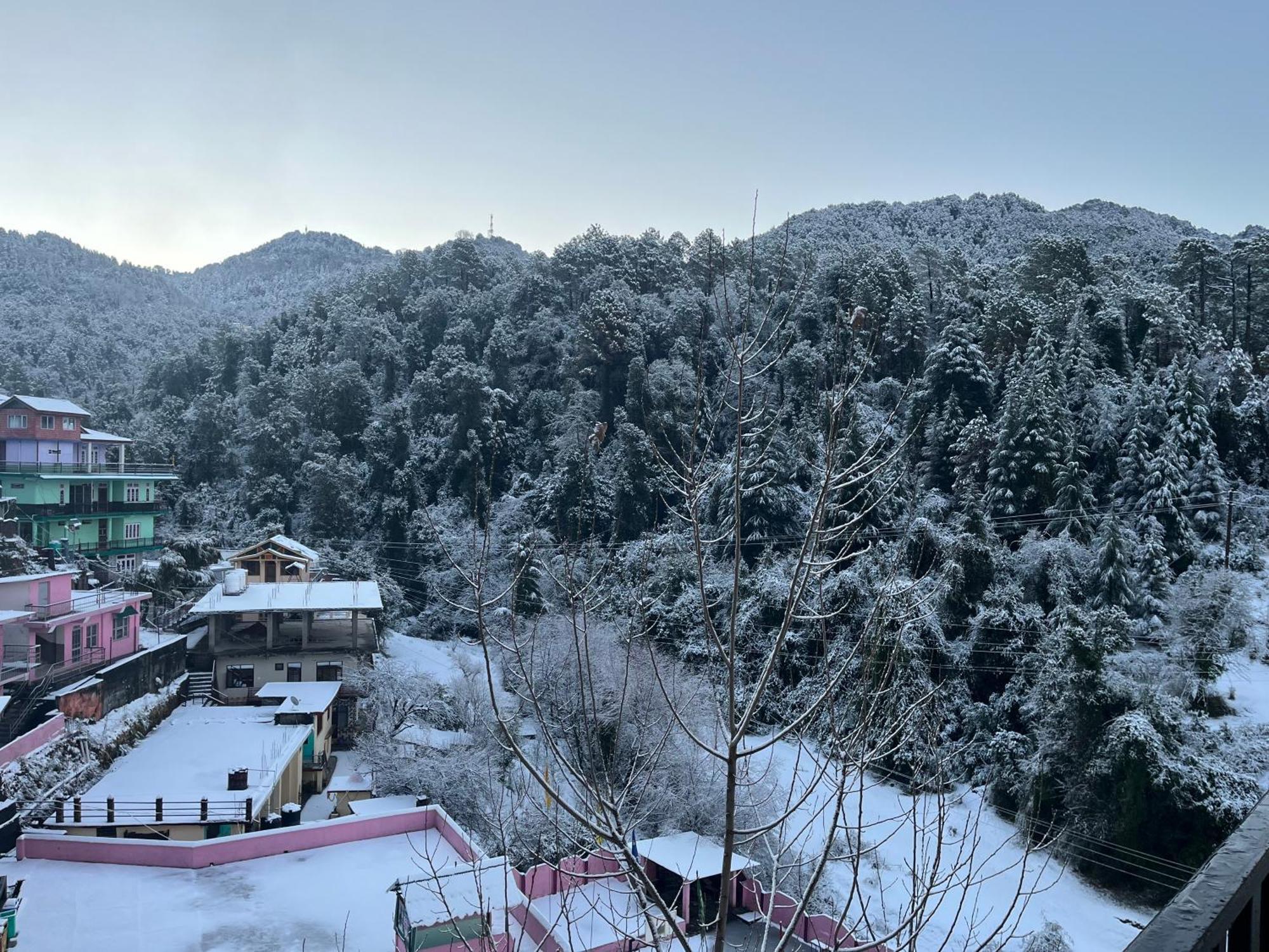 Hotel Forest View Dalhousie, Banikhet Exterior photo